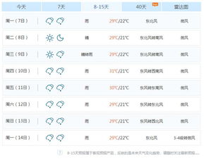 东营天气预报（东营天气预报15天）