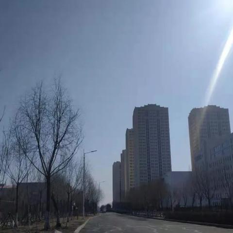 春节期间哈尔滨天气预报2025（哈尔滨天气预报日历）