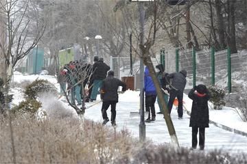 黑龙江伊春天气（黑龙江伊春天气怎么样）