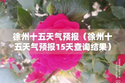 徐州天气预报十五天（徐州天气预报十五天的天气预报15天）