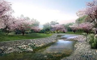 沈阳天气(沈阳天气五一) 沈阳天气(沈阳天气五一)