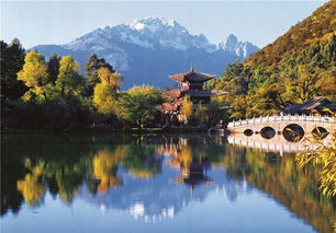 丽江必去4个景点(丽水必去4个景点有哪些) 丽江必去4个景点(丽水必去4个景点有哪些)
