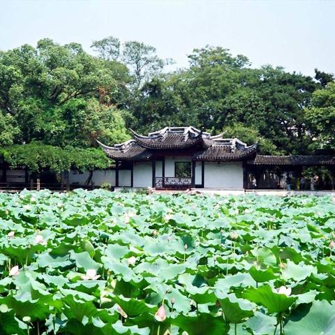 乌镇（乌镇必去的三大景点）