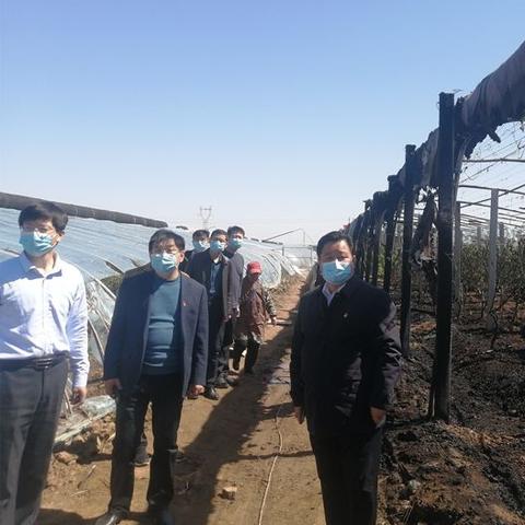 衡水天气（衡水天气预报15天当地天气查询表）
