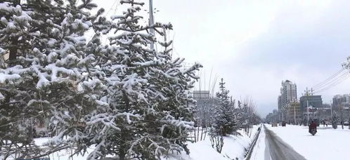 山西降雪最新消息（山西新一轮降雪天气）