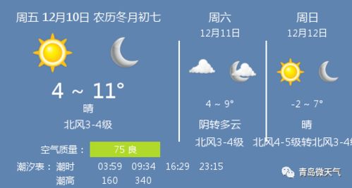 山东青岛天气预报15天(10月中旬青岛天气) 山东青岛天气预报15天(10月中旬青岛天气)